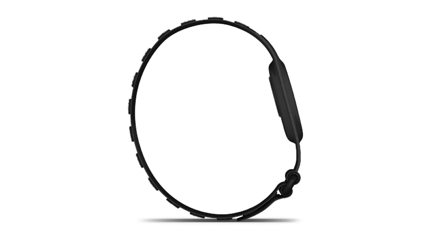 garmins fitbit air