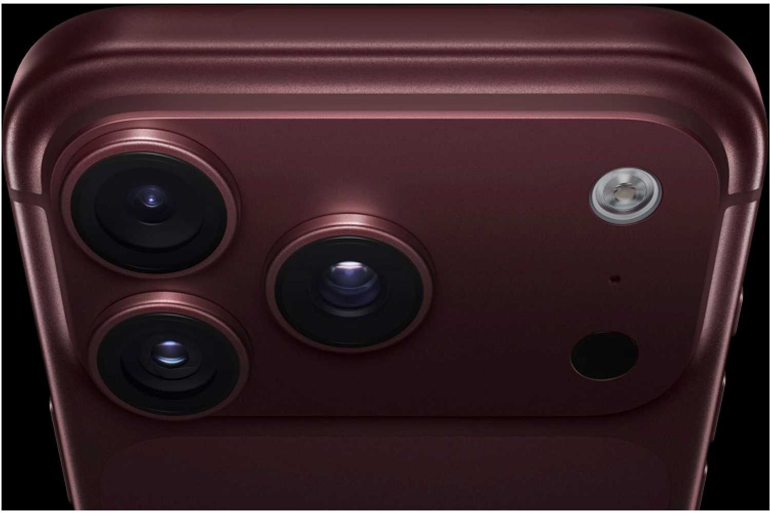 apple reference image
