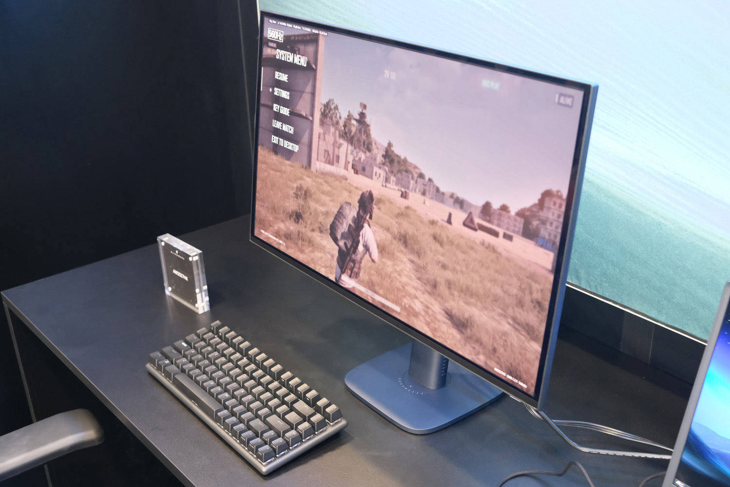 pro gamer would
