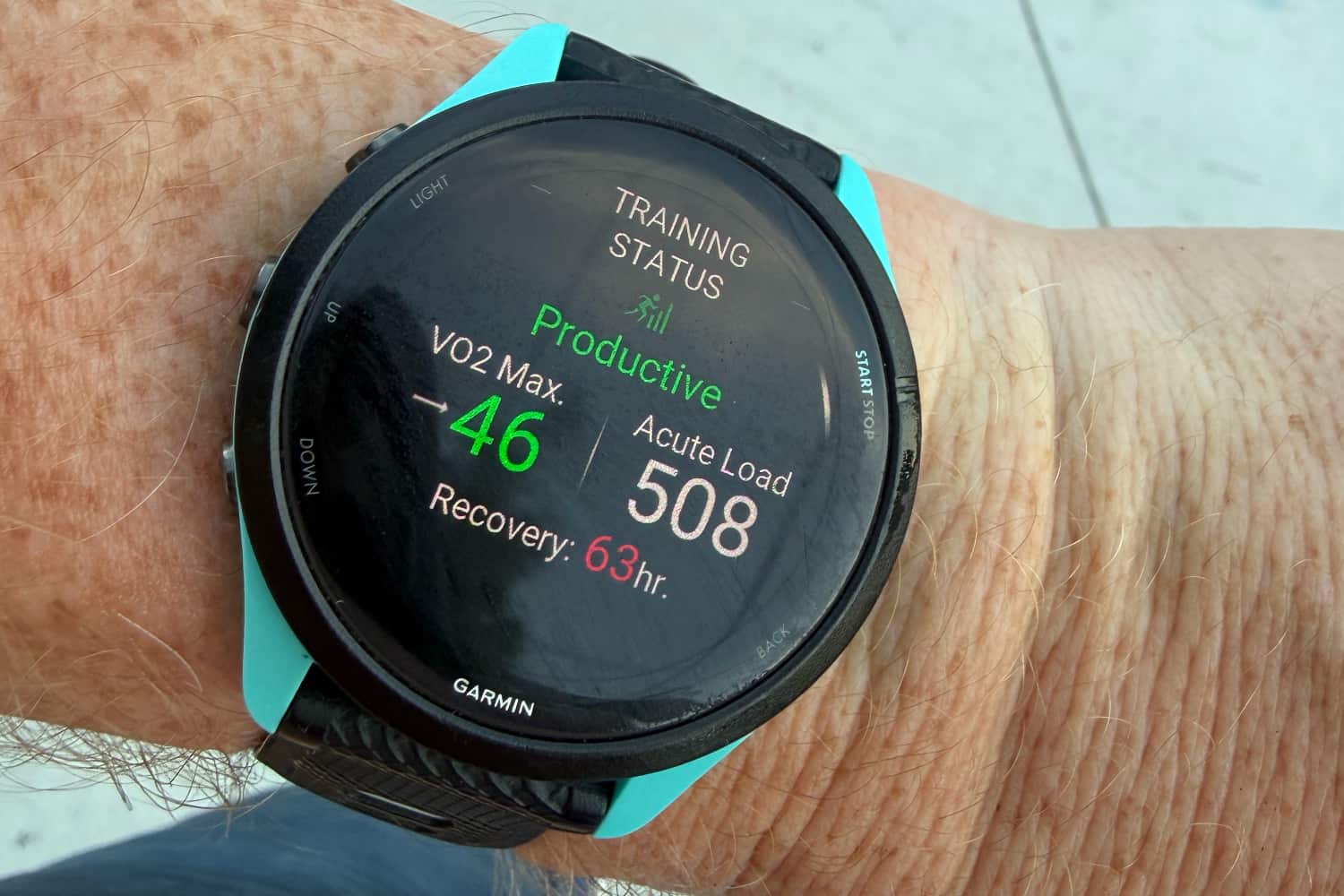 garmin training status