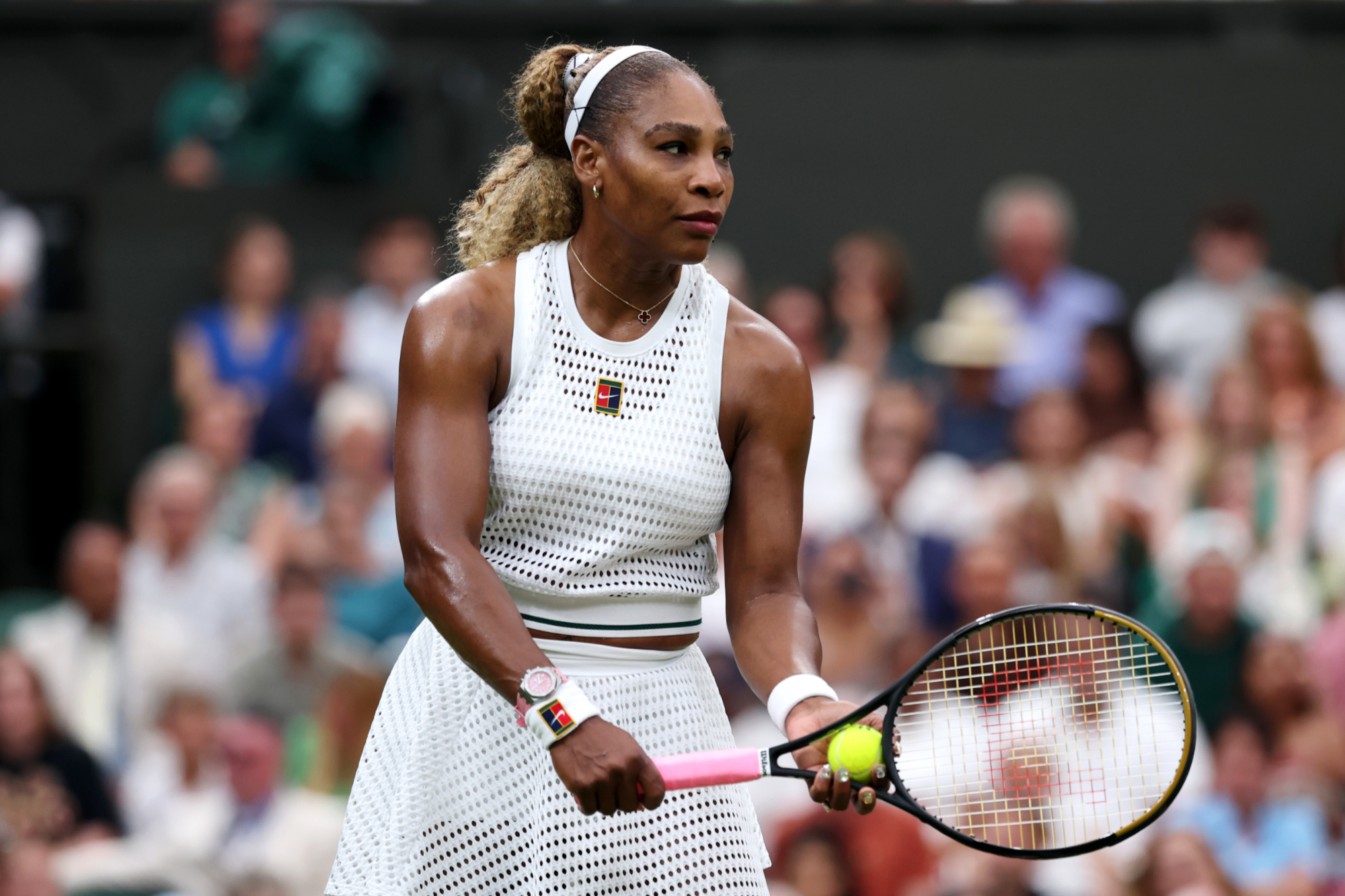 watch spotting wimbledon