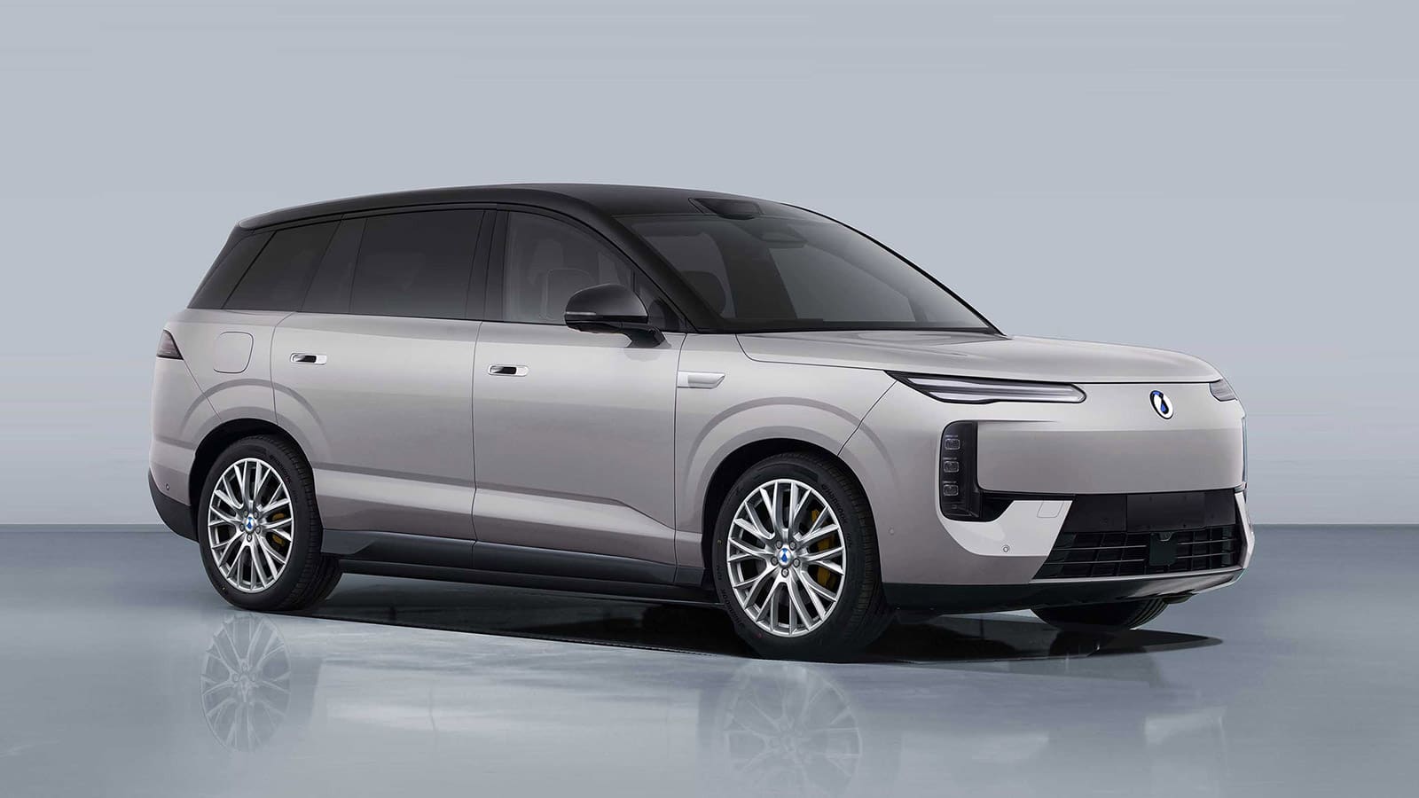 byd denza files