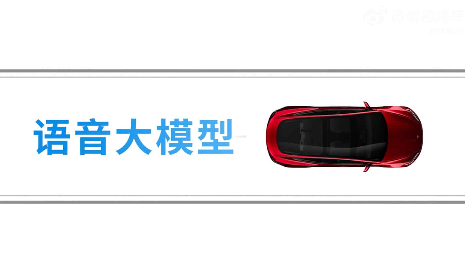 tesla brings bytedances