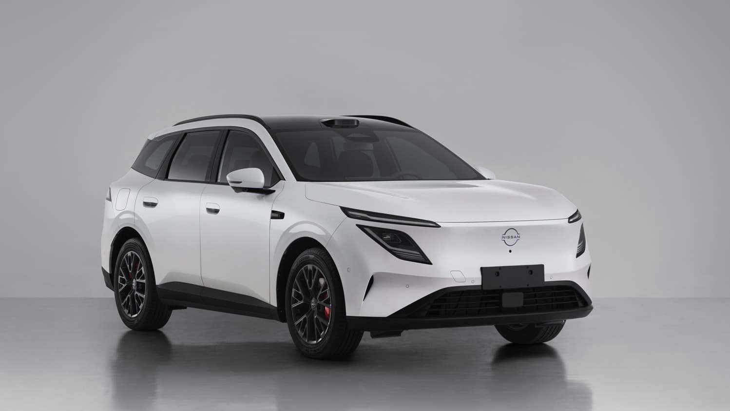 dongfeng nissan files