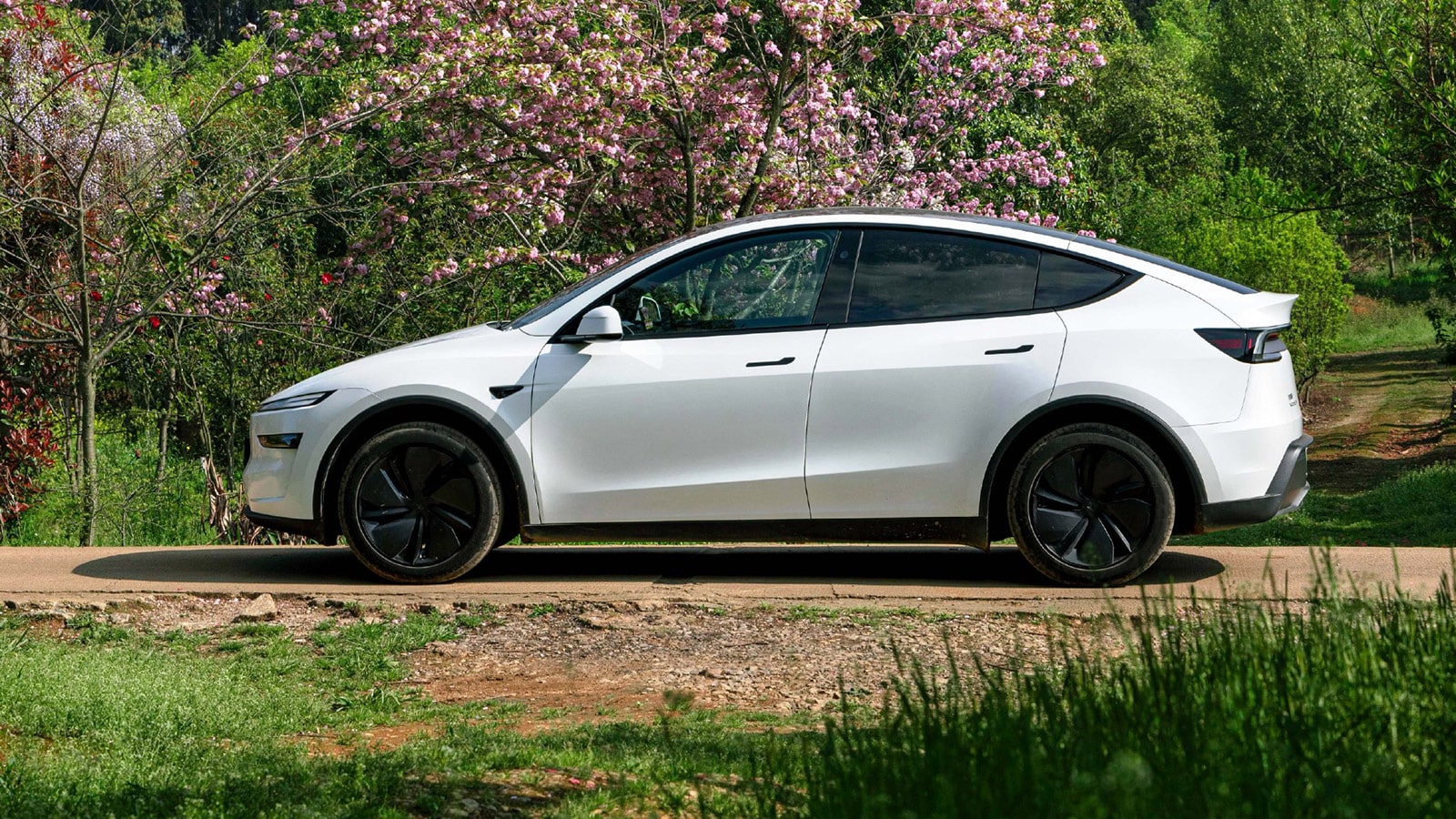 teslas new model