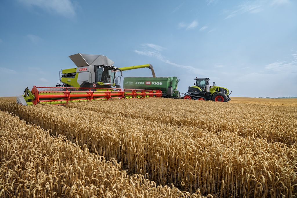 live combine grain