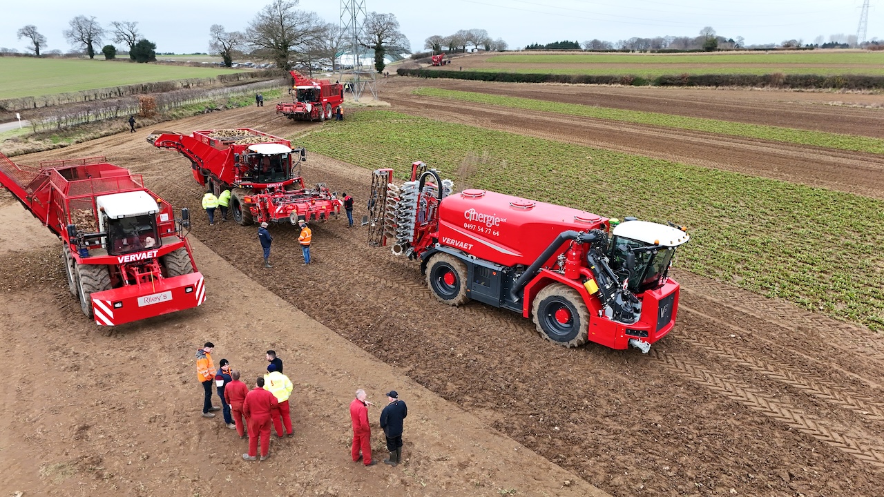 working beet demonstration
