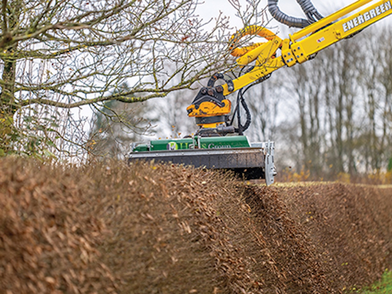hedge cutter demo