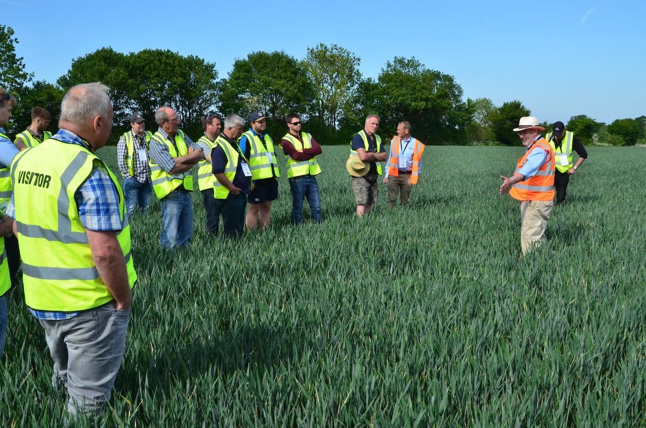 profitable farmingcrop establishmentopen
