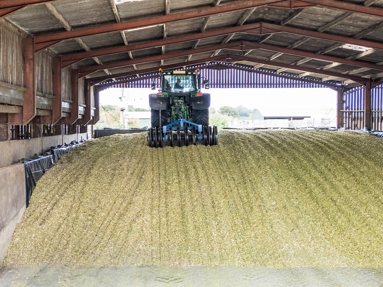 twoinone clamp sheet