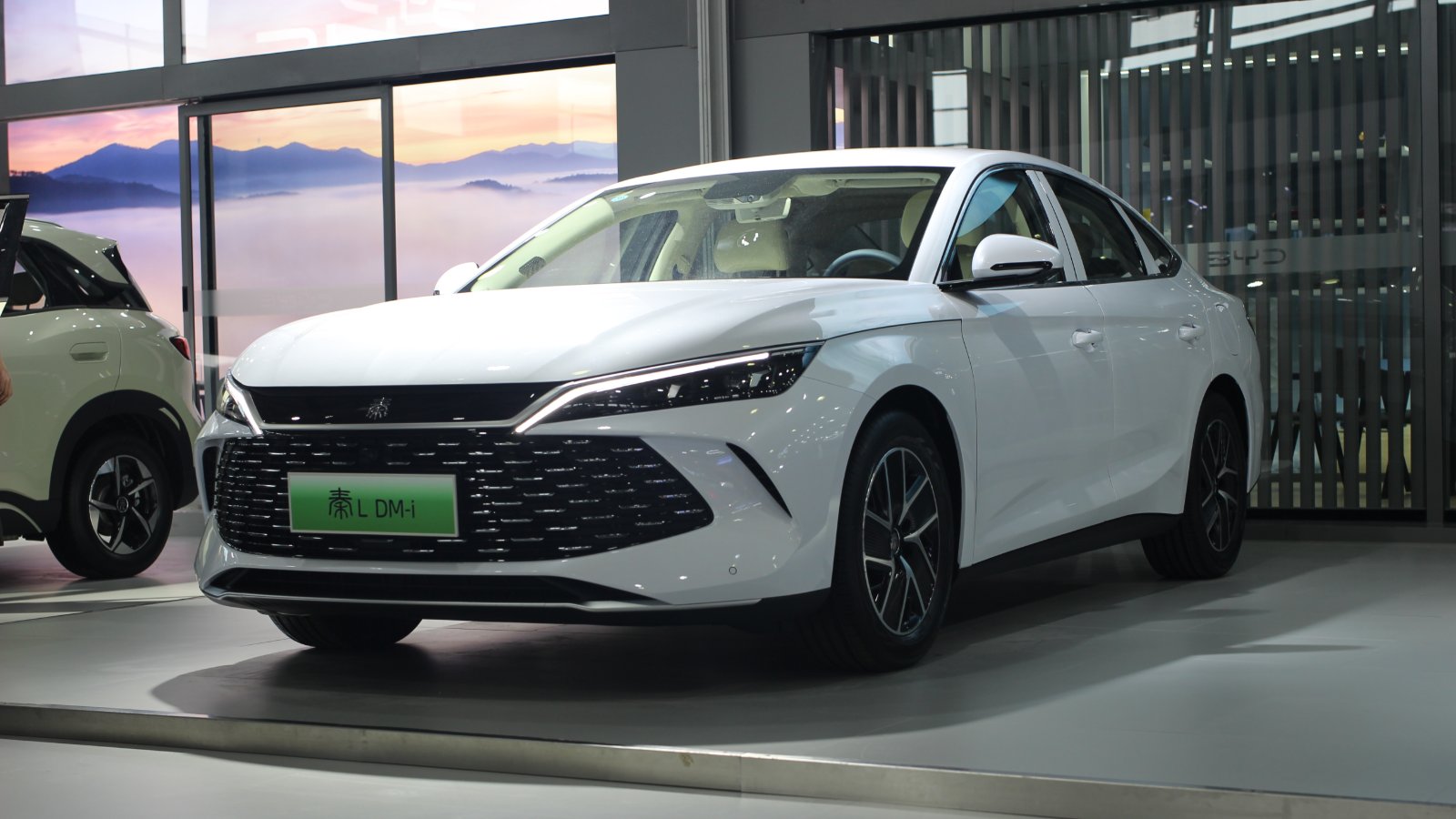 byd recalls select