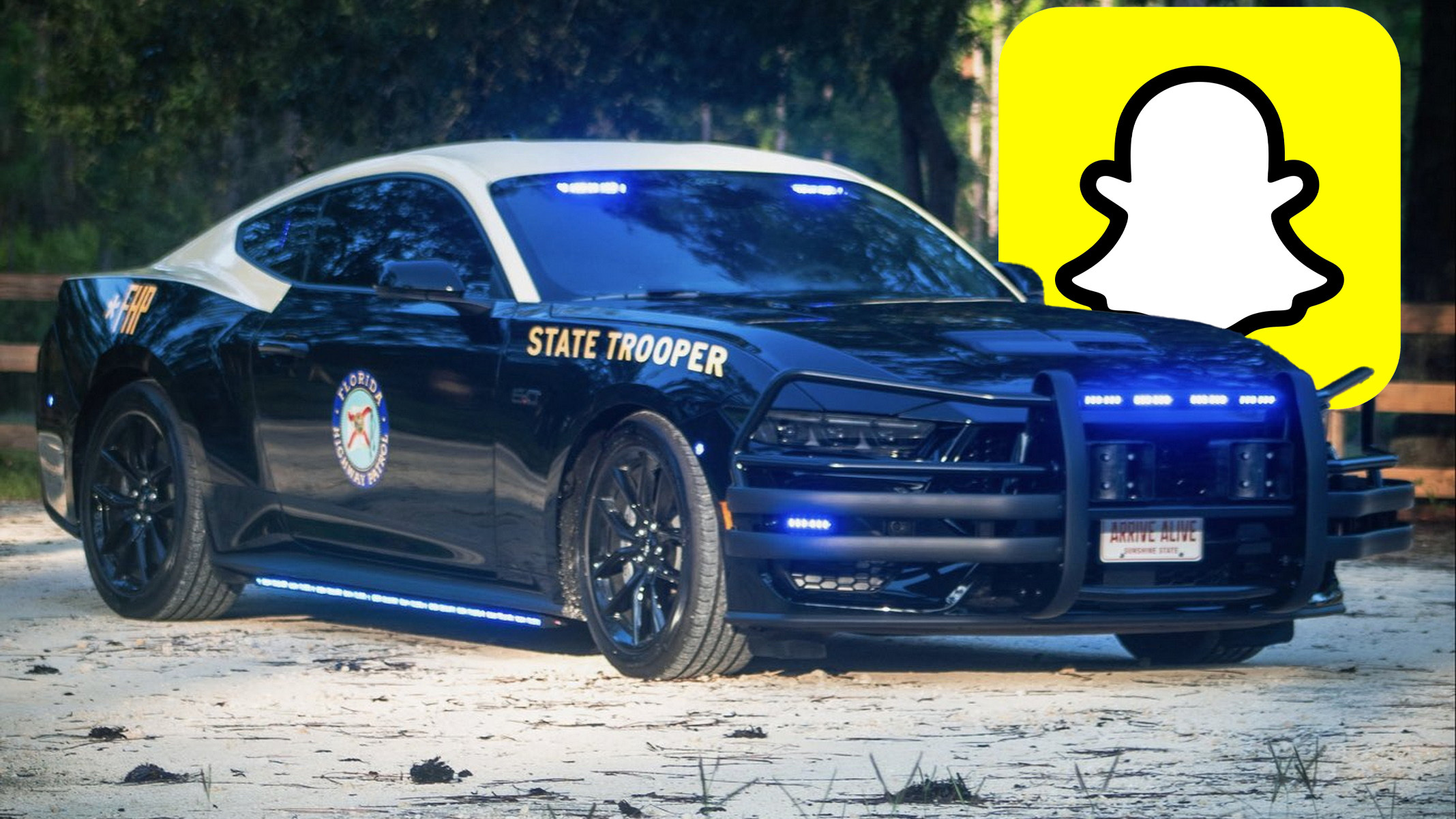 fake cop allegedly