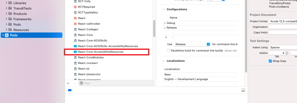 xcode error multiple commands produce accessibility resources