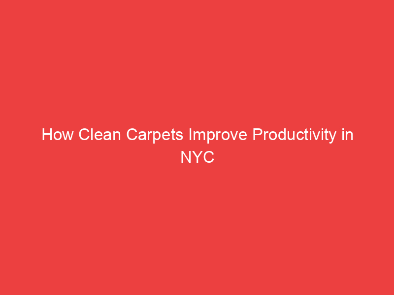 How Clean Carpets Improve Productivity in NYC Offices