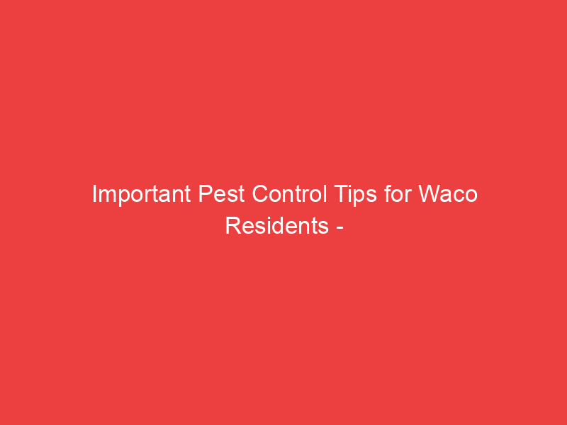 Important Pest Control Tips for Waco Residents Wacopest