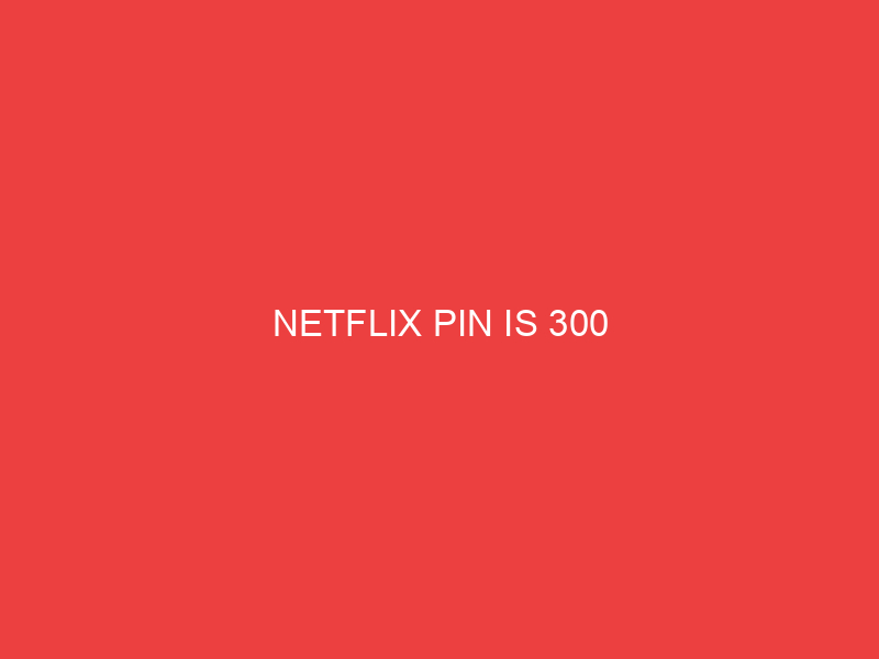NETFLIX PIN IS 300