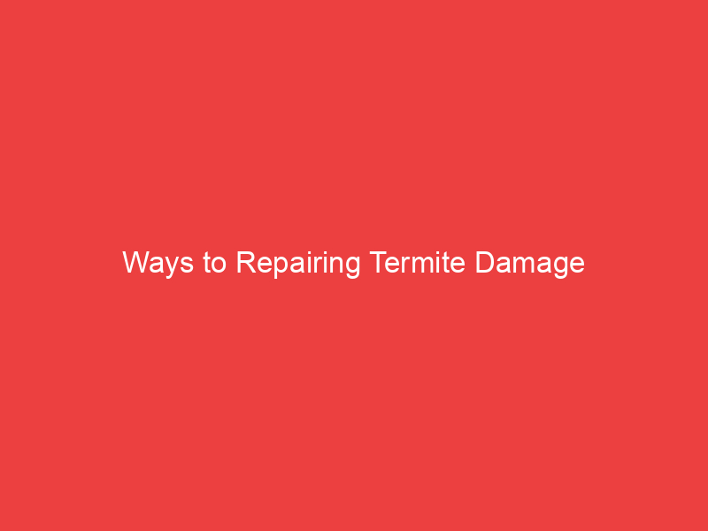 Ways to Repairing Termite Damage