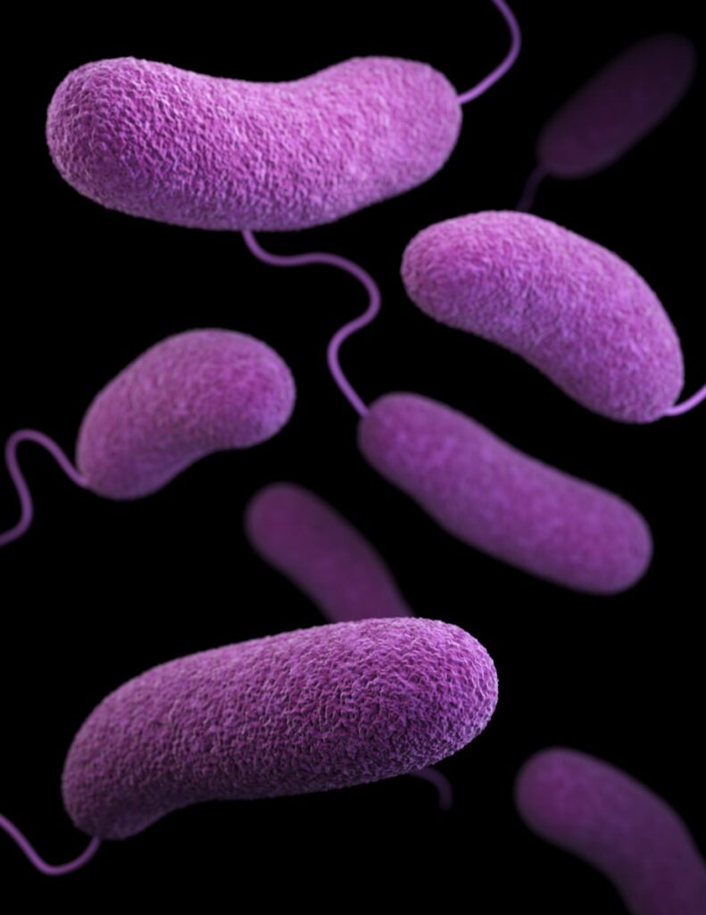 urinary tract infection market trends and growth by segmentation