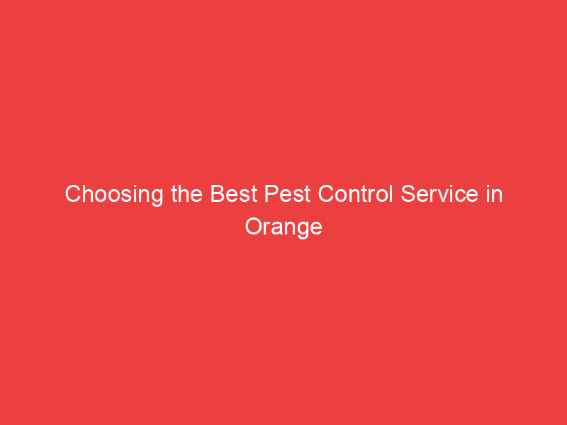 Choosing the Best Pest Control Service in Orange County and San Diego