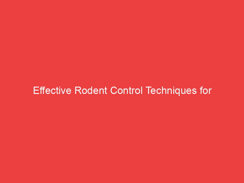 Effective Rodent Control Techniques for Commercial Spaces