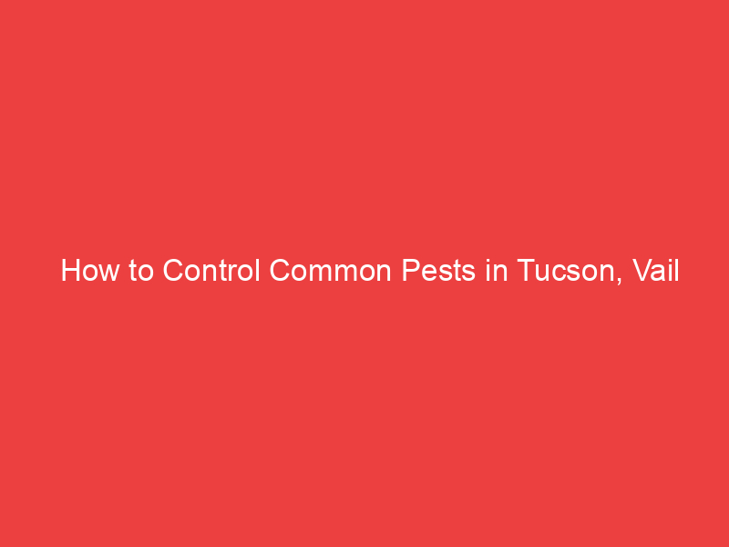 How to Control Common Pests in Tucson, Vail Residential Places?