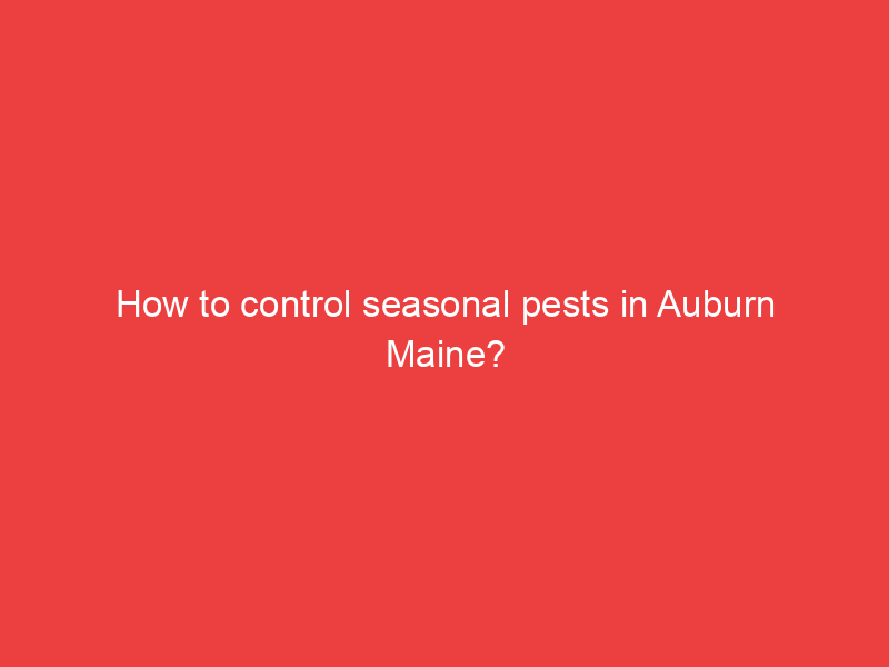 How to control seasonal pests in Auburn Maine?
