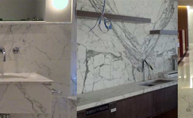 Luxurious Living with Indian Carrara Marble