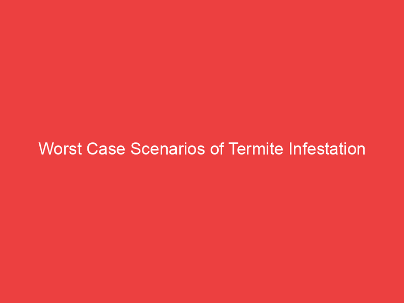 Worst Case Scenarios of Termite Infestation