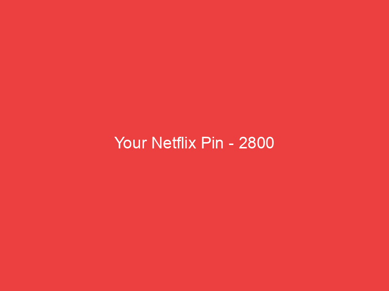 Your Netflix Pin 2800