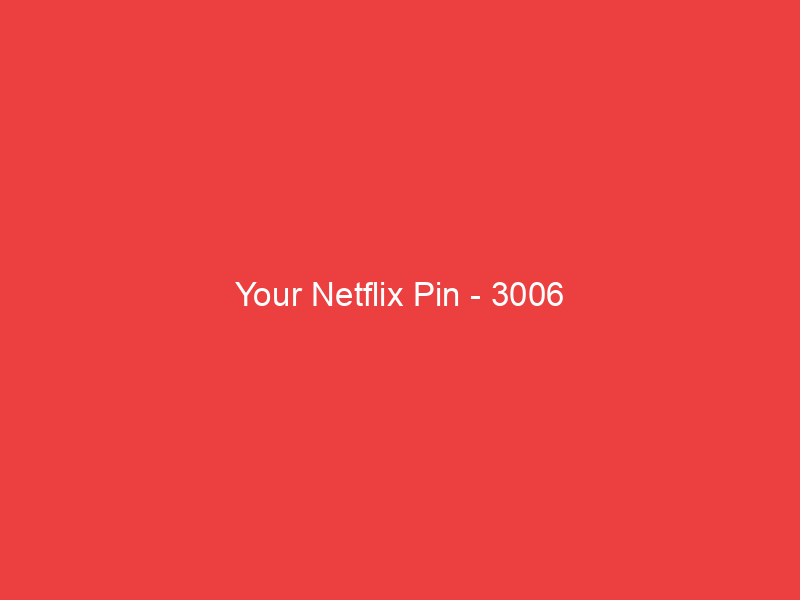 Your Netflix Pin 3006