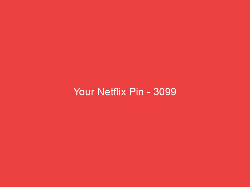 Your Netflix Pin 3099