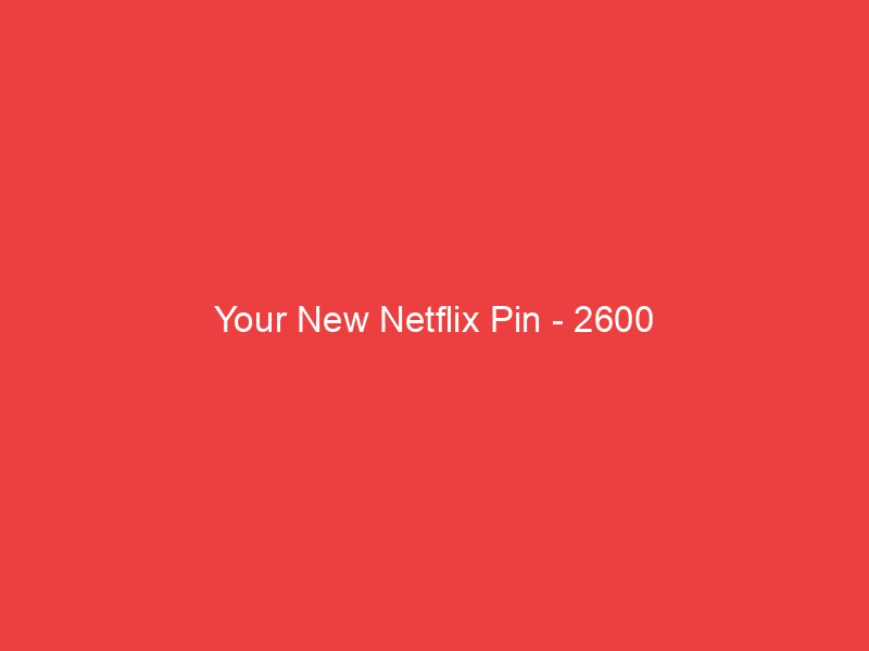 Your New Netflix Pin 2600