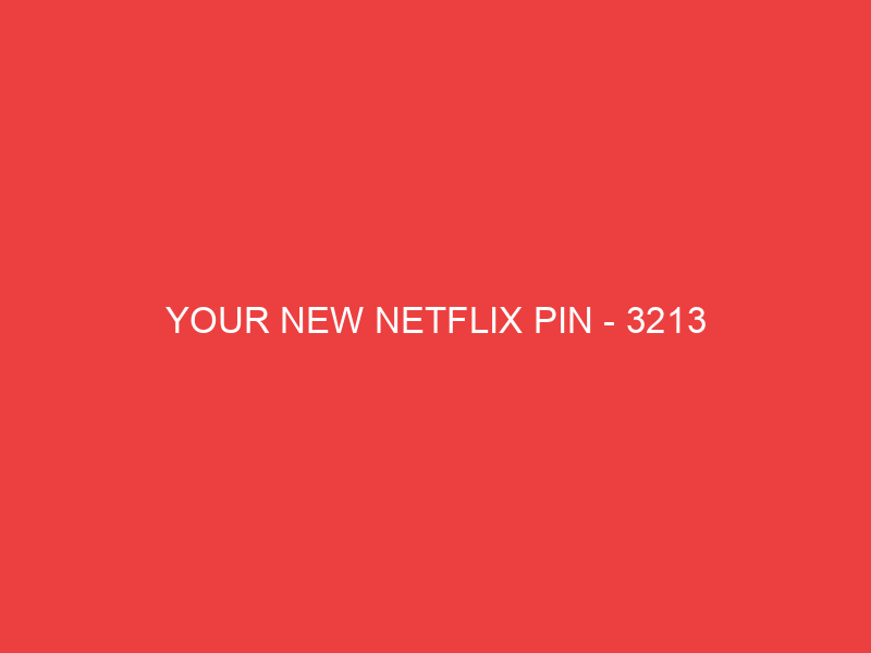 YOUR NEW NETFLIX PIN 3213