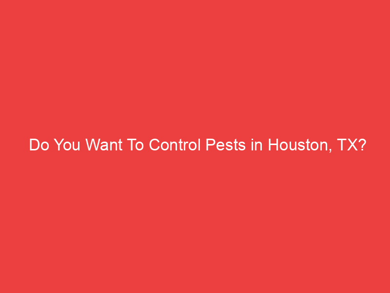 Do You Want To Control Pests in Houston, TX?