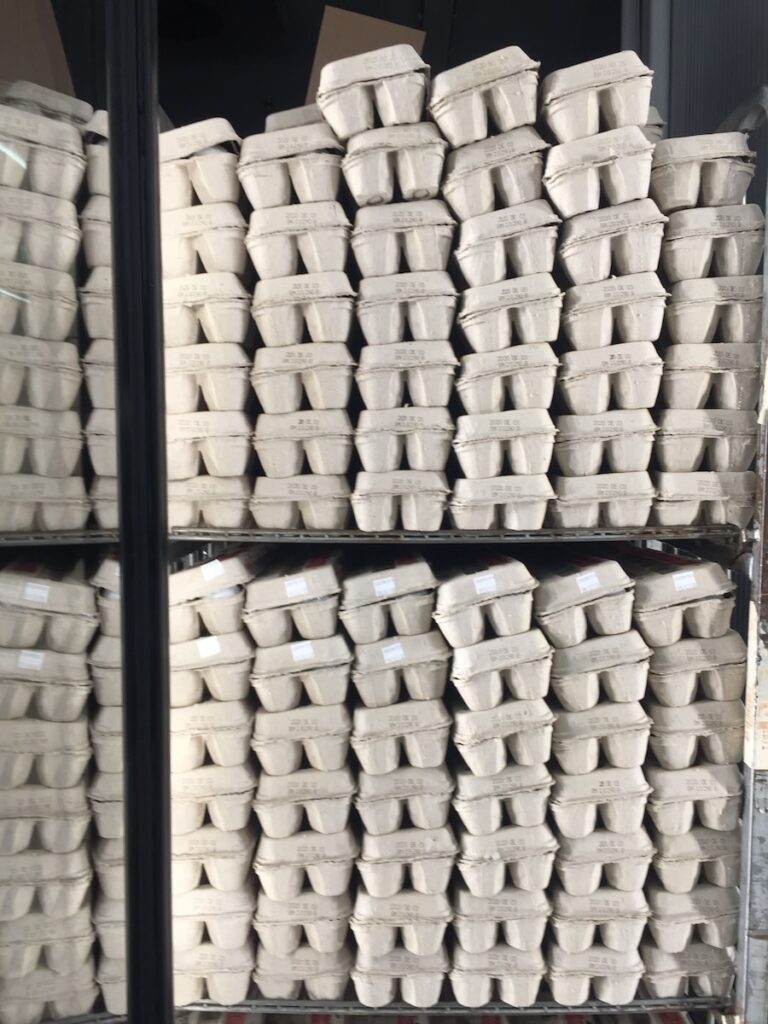 Egg Cartons