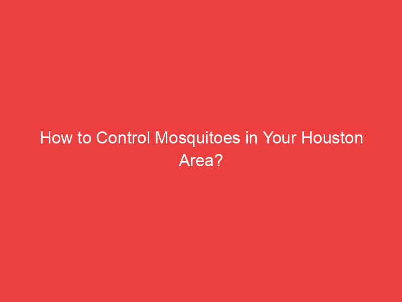 How to Control Mosquitoes in Your Houston Area?