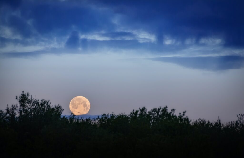 Blue Supermoon
