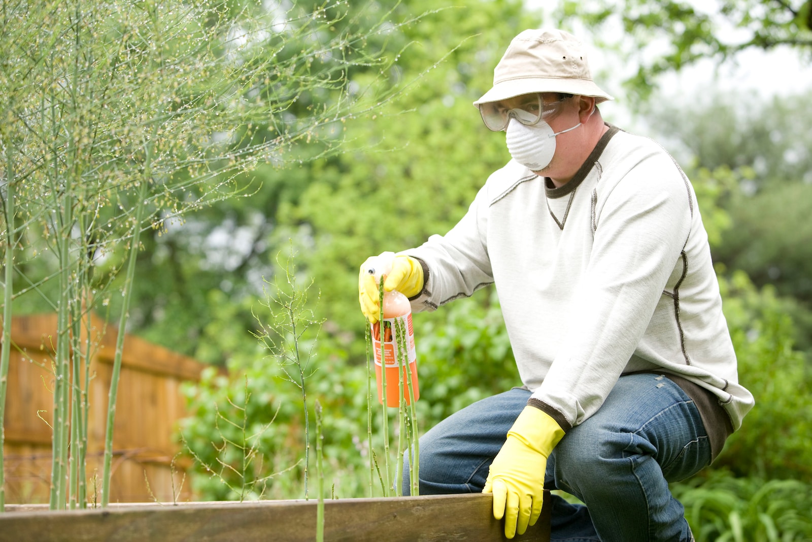 Common Pest Control Service in San Dieg