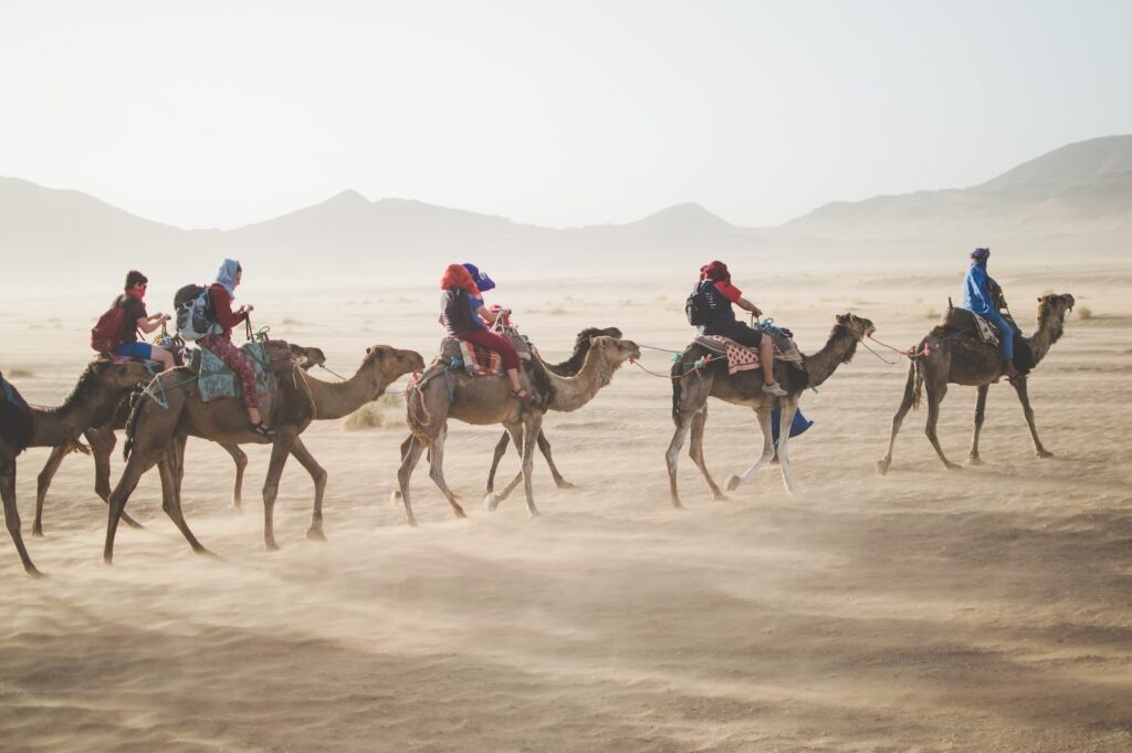 Abu Dhabi Desert Tours