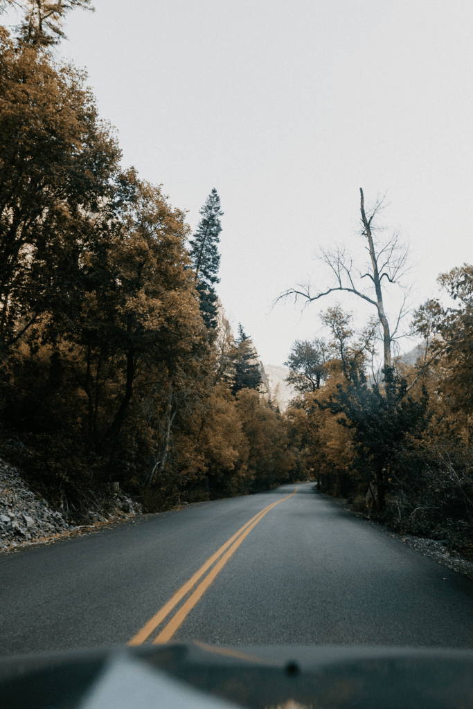 Jazz, Rock, and Reflections: A Fool’s Journey with Carli Muñoz