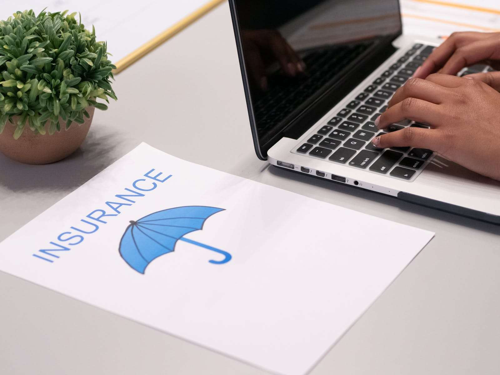 best insurance company in South Florida best insurance company in South Florida
