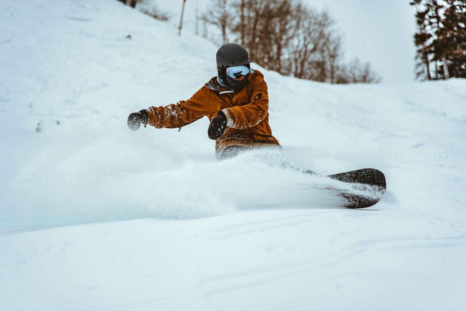 Skiing and Snowboarding Skiing and Snowboarding