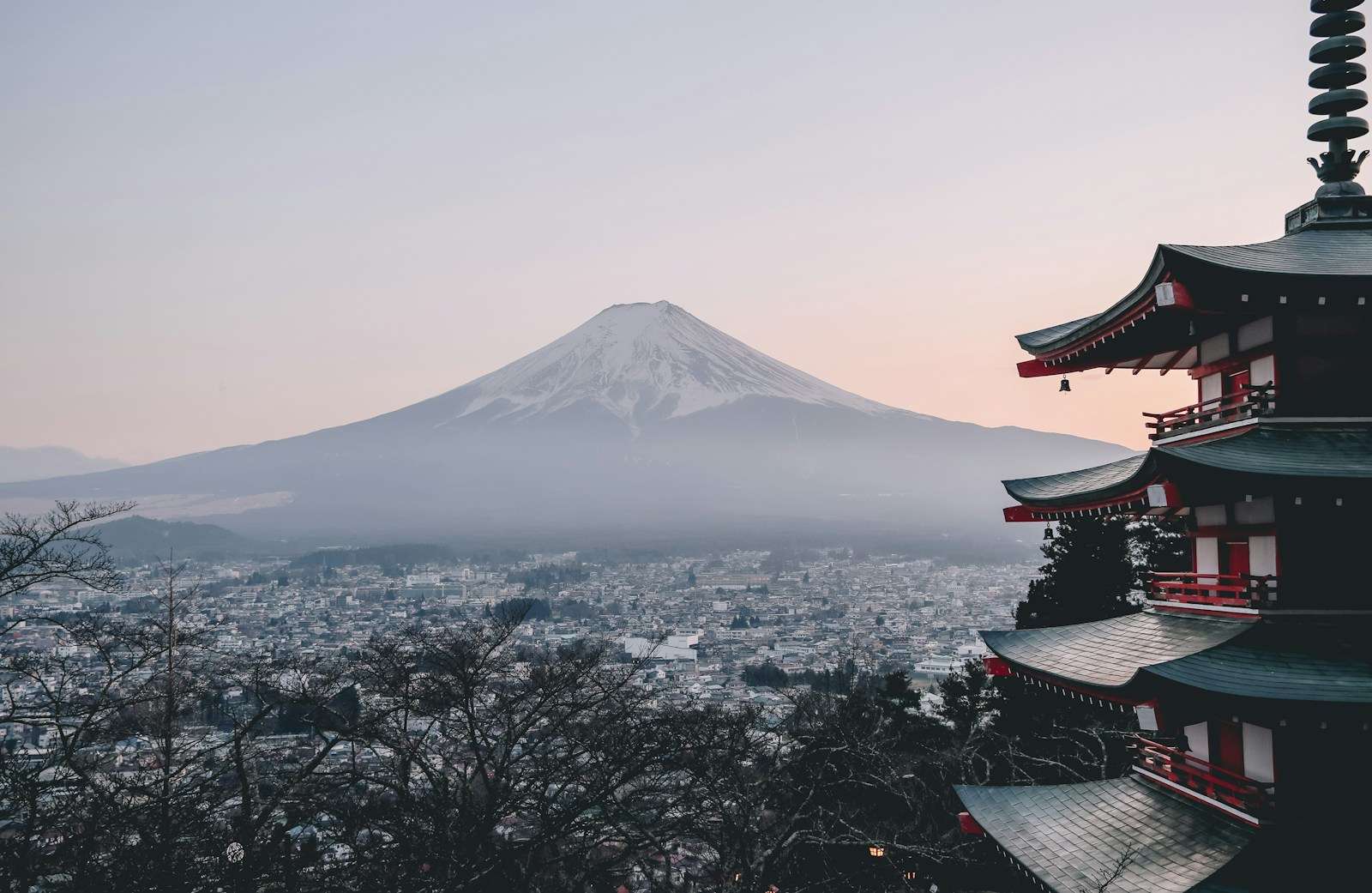 Photo by Manuel Cosentino Japanese