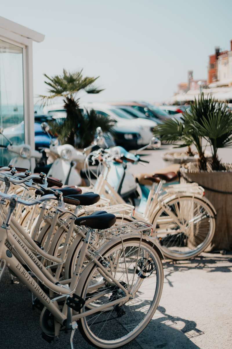 Renting bikes