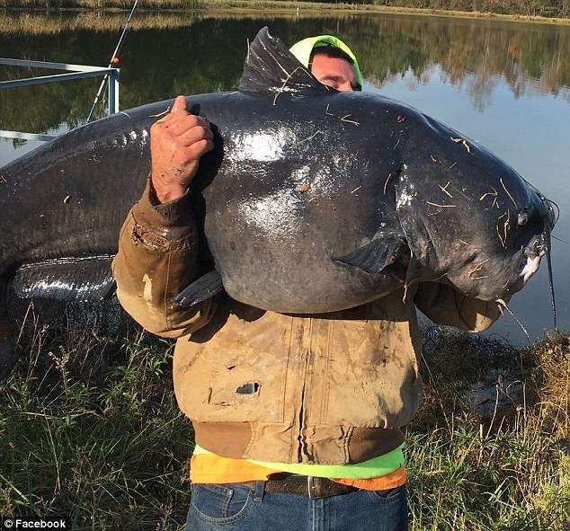 The real river monster