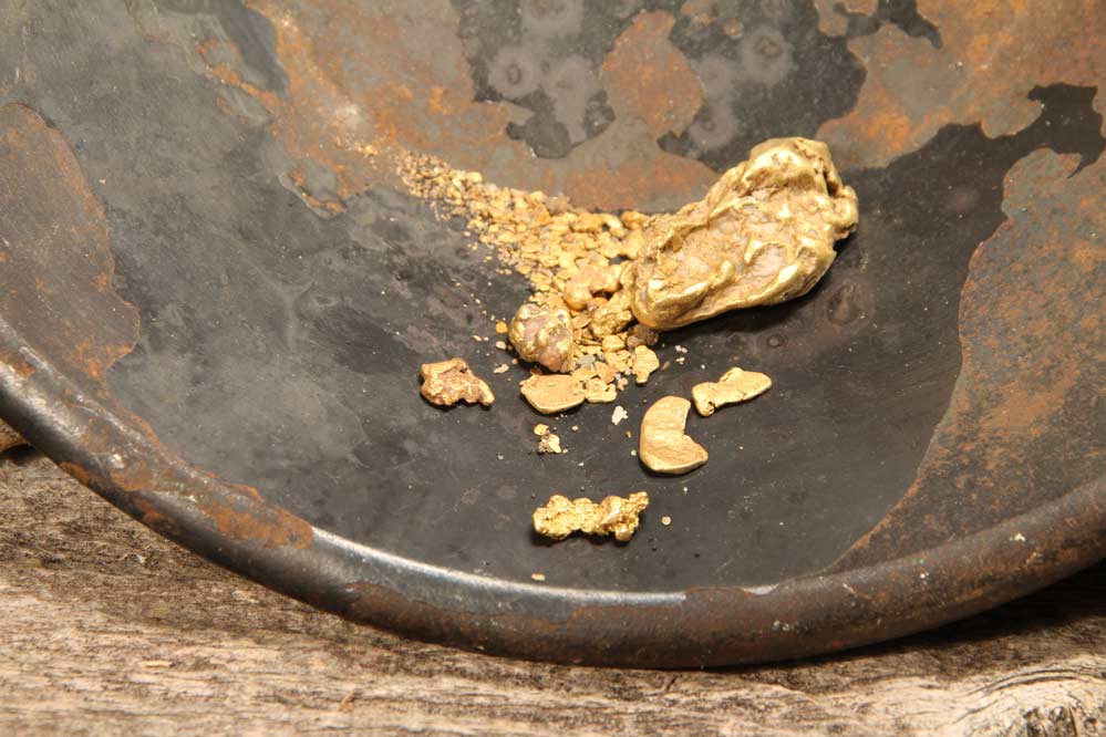 finding the gold.jpg