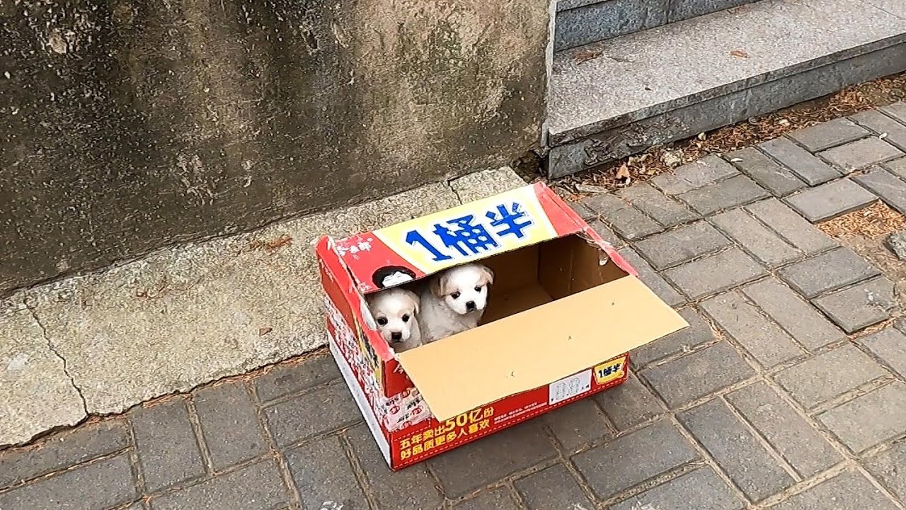52.jpg
