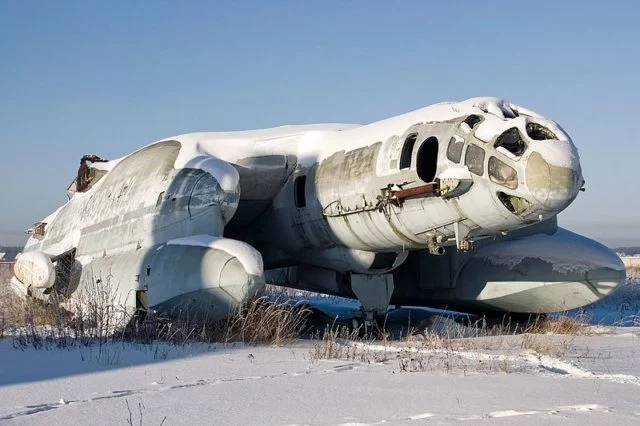 800px beriev vva 14 in 2010 640x426.png