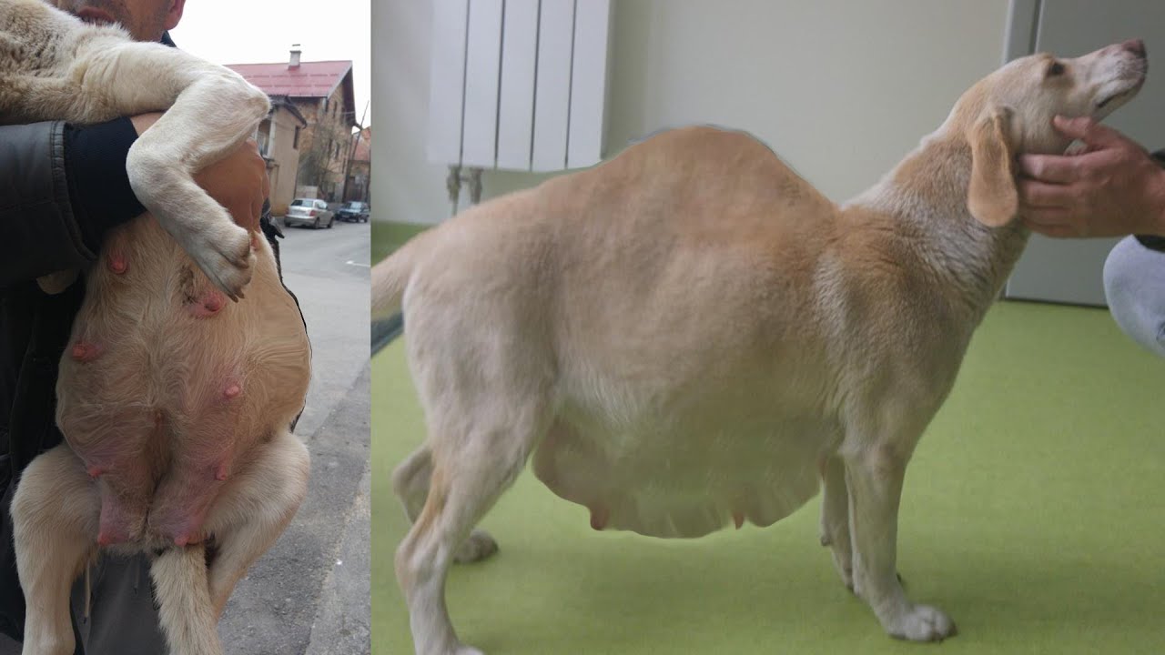 maxresdefault.jpg