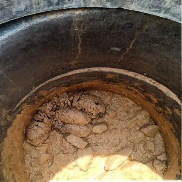puppies lying helplessly in a muddy well.jpg.webp